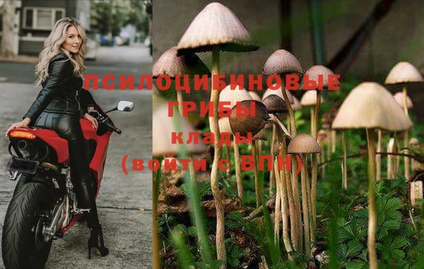бутик Богданович