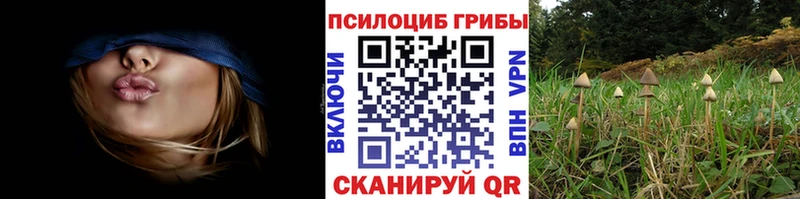 Псилоцибиновые грибы GOLDEN TEACHER  закладки  Невель 